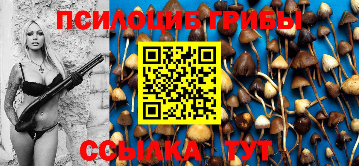 Галлюциногенные грибы Magic Shrooms Биробиджан