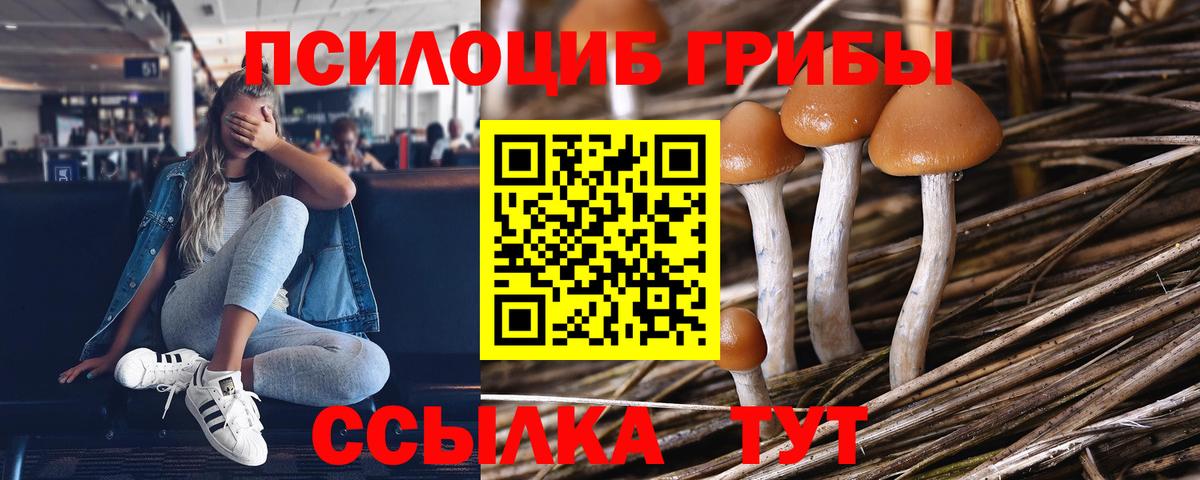 Галлюциногенные грибы прущие грибы  Вход с VPN  Биробиджан  Псилоцибиновые грибы Magic Shrooms 